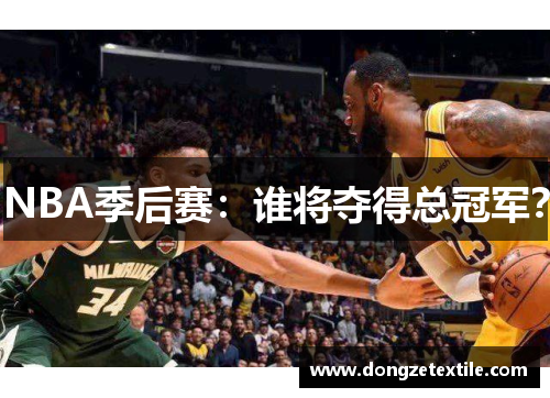 NBA季后赛：谁将夺得总冠军？